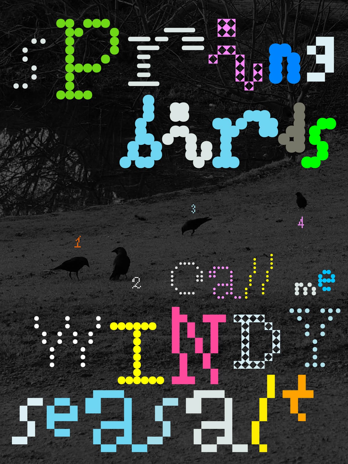 Poster: dotted type over crows